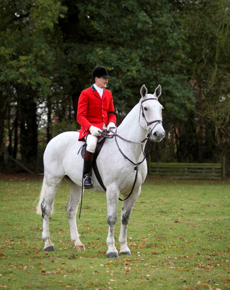 Equine Photography by Anna Pasquale, Cambridge UK