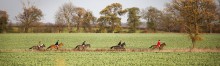 Equine Photography by Anna Pasquale, Cambridge UK