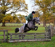 Equine Photography by Anna Pasquale, Cambridge UK