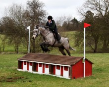 Equine Photography by Anna Pasquale, Cambridge UK