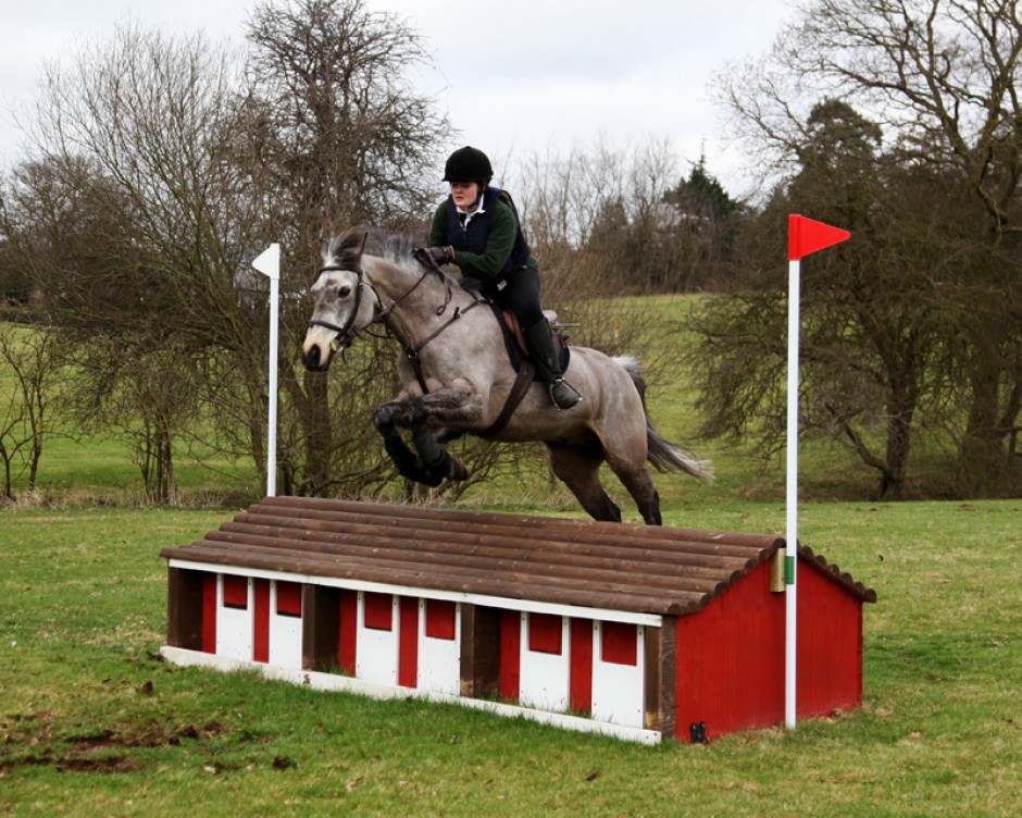 Equine Photography by Anna Pasquale, Cambridge UK