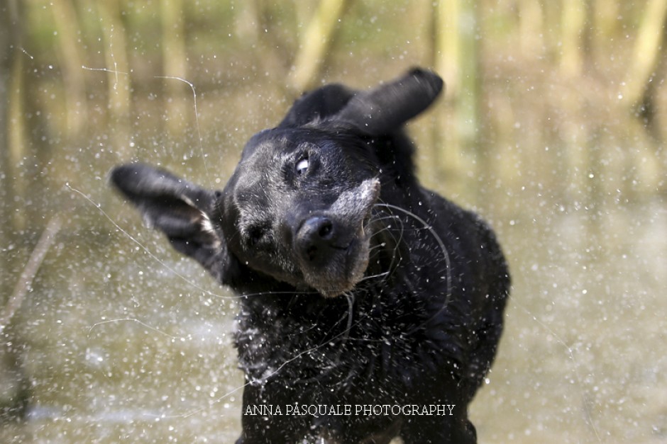Shaking water