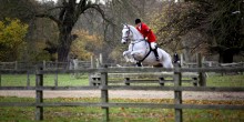 Equine Photography by Anna Pasquale, Cambridge UK